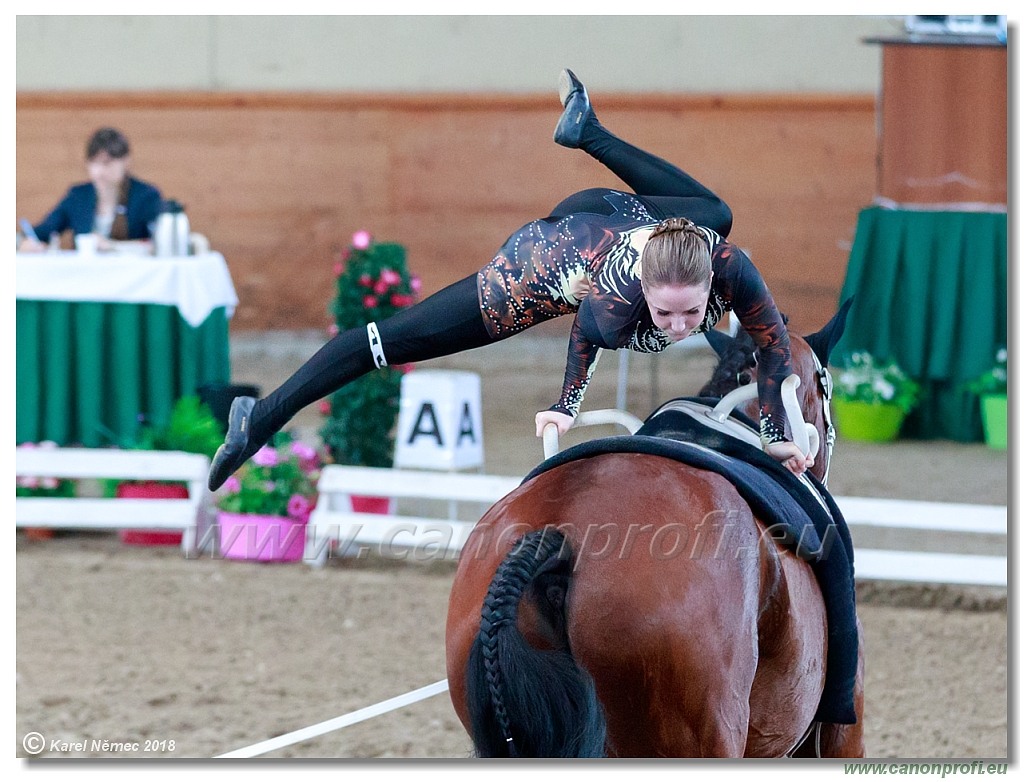  CVI Pezinok - 16th June 2018 - Individual CVIJ2*