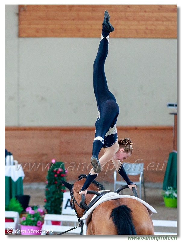  CVI Pezinok - 16th June 2018 - Individual CVIJ2*