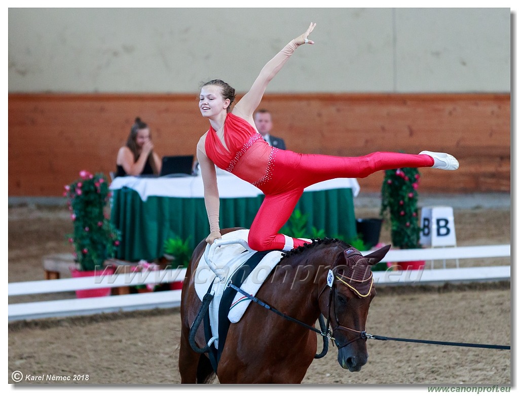  CVI Pezinok - 16th June 2018 - Individual CVIJ2*