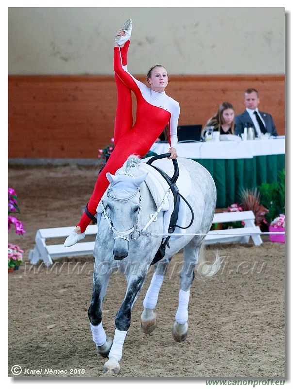  CVI Pezinok - 16th June 2018 - Individual CVIJ2*