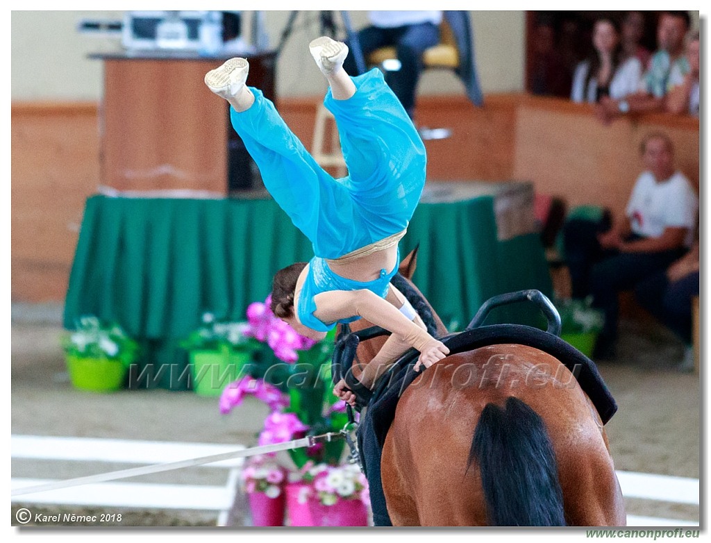  CVI Pezinok - 16th June 2018 - Individual CVIJ2*