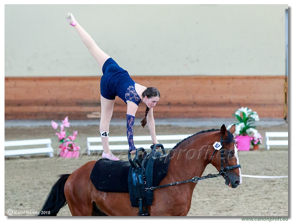  CVI Pezinok - 16th June 2018 - Individual CVIJ2*