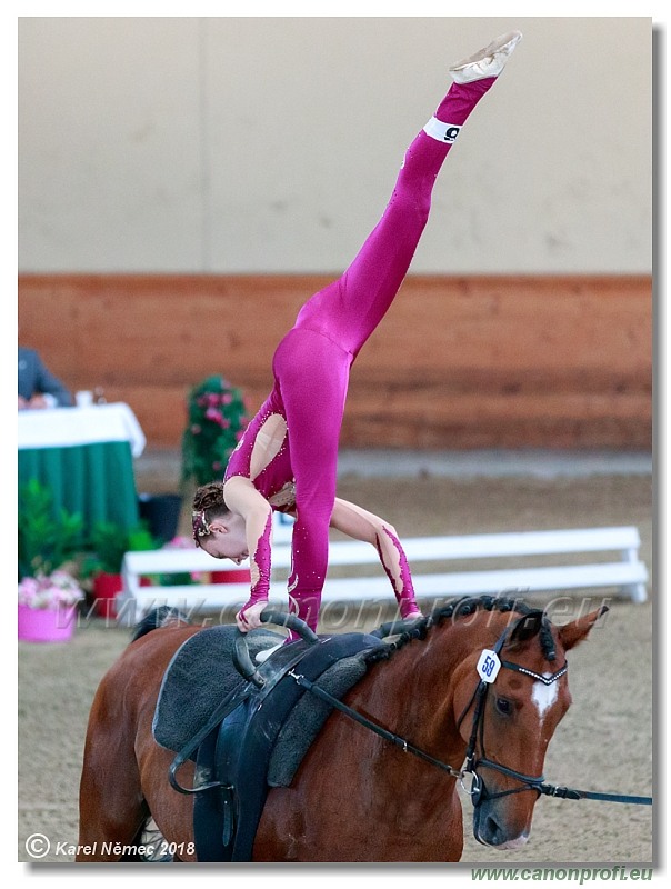  CVI Pezinok - 16th June 2018 - Individual CVIJ2*