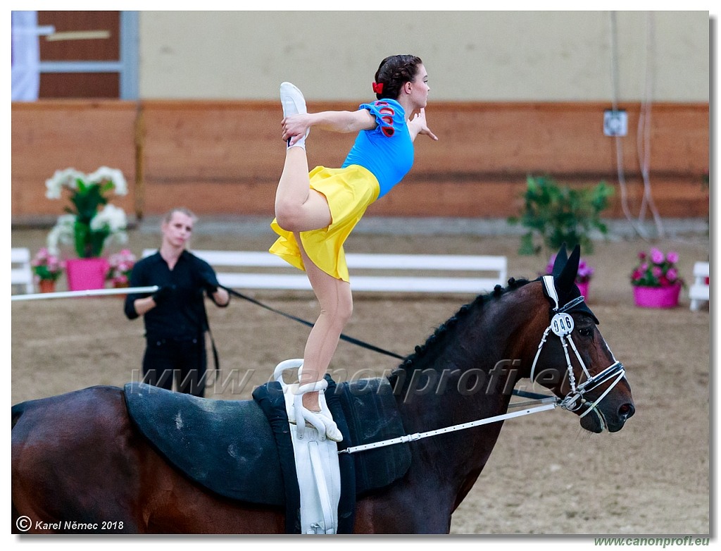  CVI Pezinok - 16th June 2018 - Individual CVIJ2*