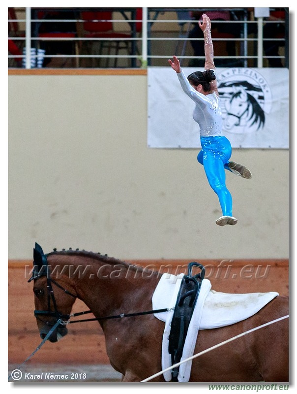 CVI Pezinok - 16th June 2018 - Individual CVIJ2*