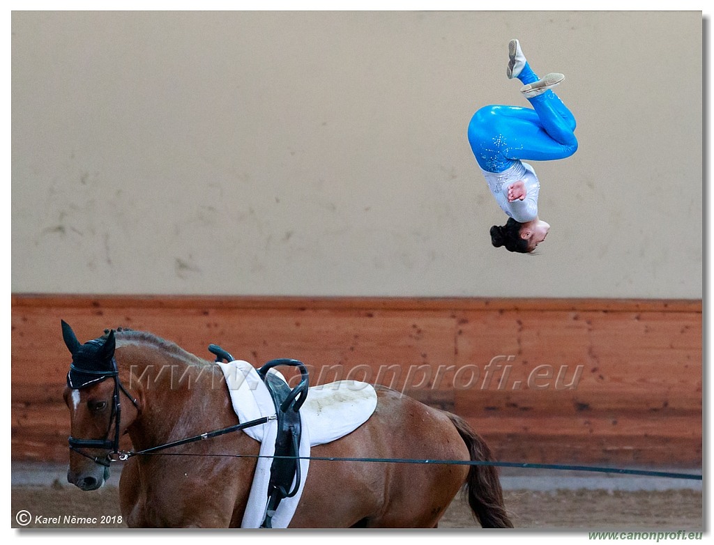  CVI Pezinok - 16th June 2018 - Individual CVIJ2*