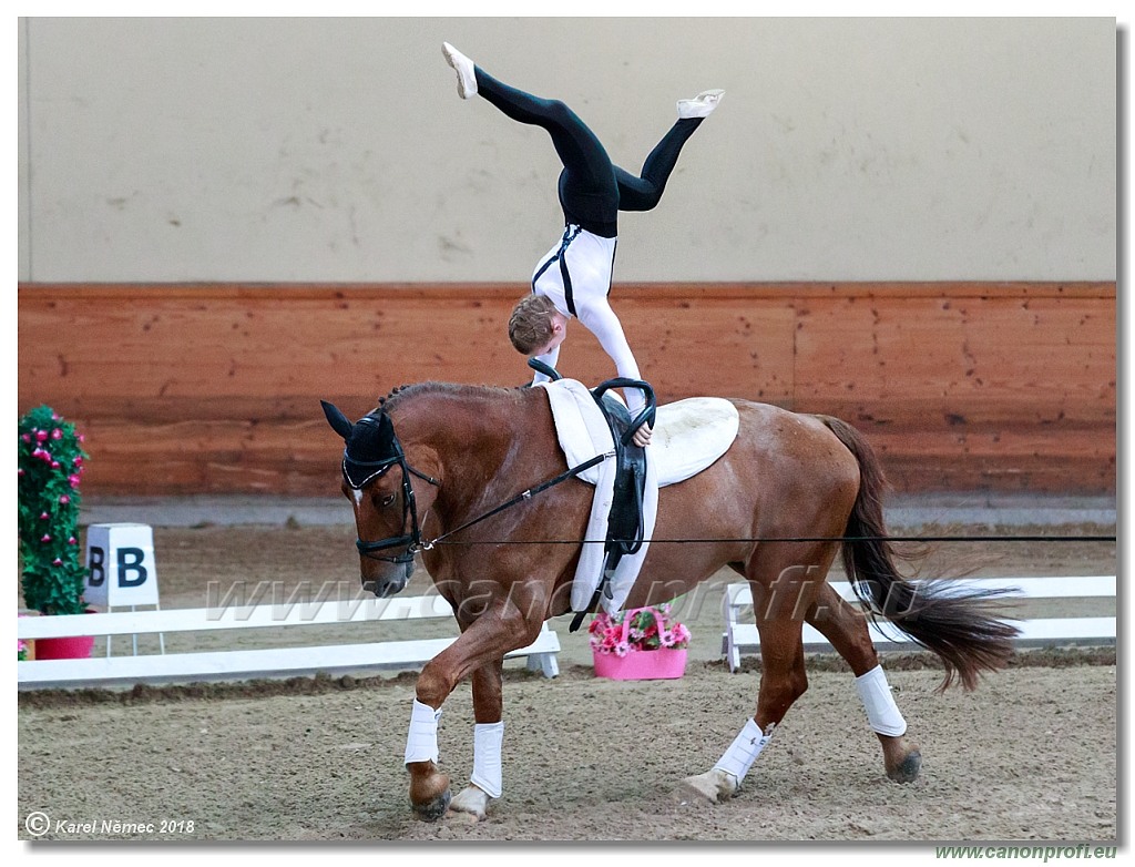  CVI Pezinok - 16th June 2018 - Individual CVIJ2*