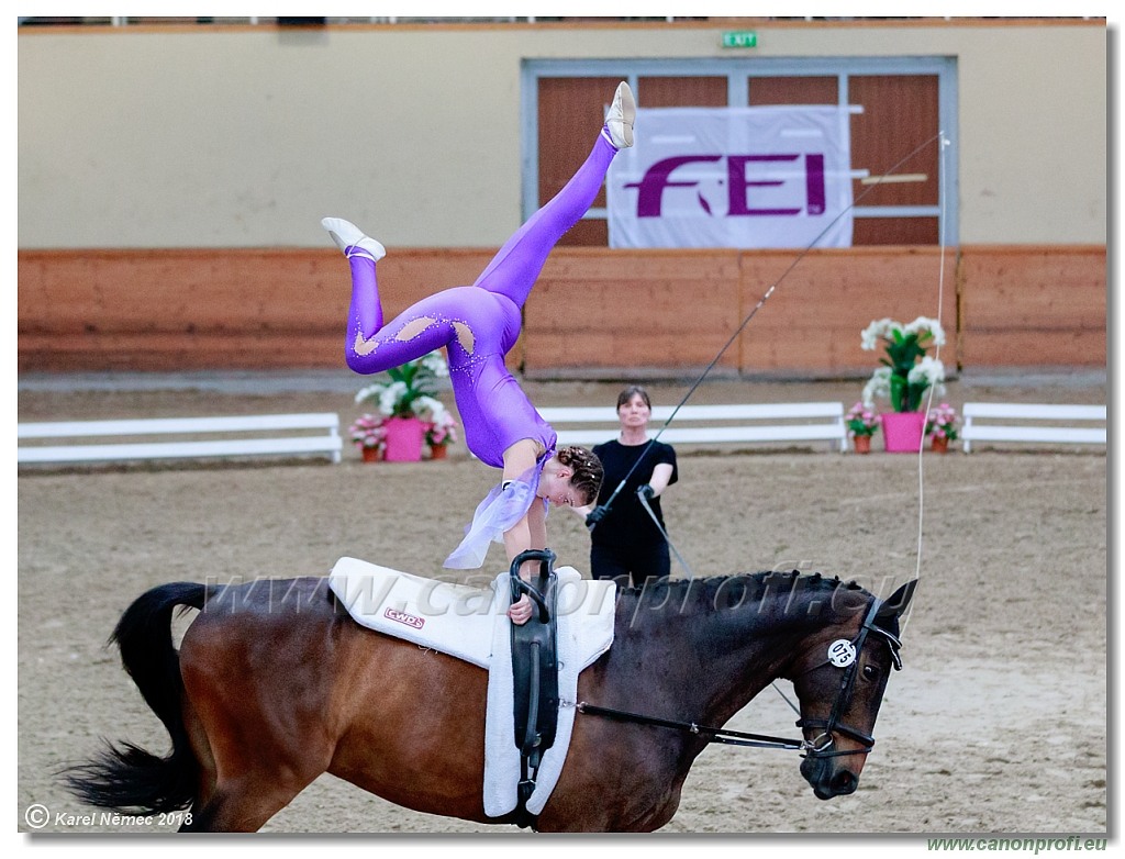  CVI Pezinok - 16th June 2018 - Individual CVIJ2*