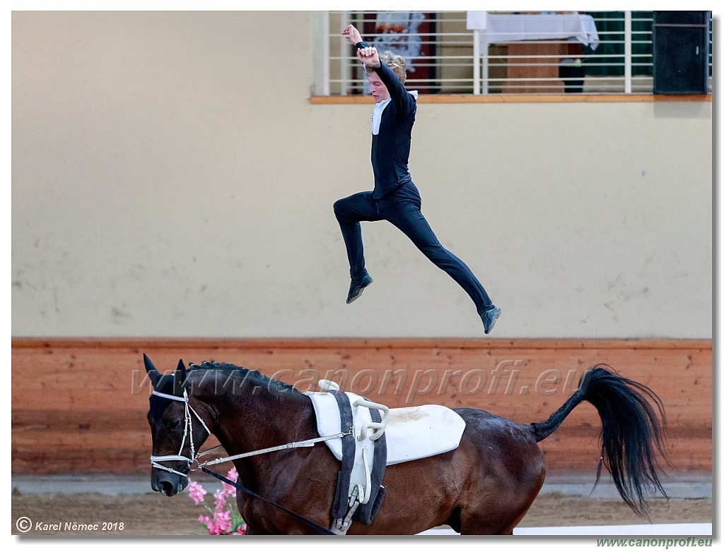  CVI Pezinok - 16th June 2018 - Individual CVIJ2*
