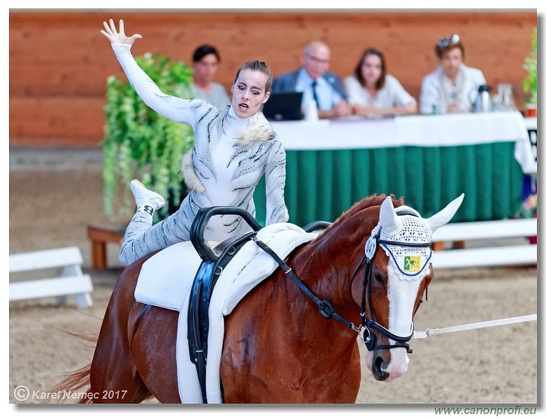 CVI Pezinok  -  17th - 18th June 2017