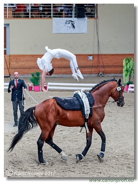 CVI Pezinok  -  17th - 18th June 2017