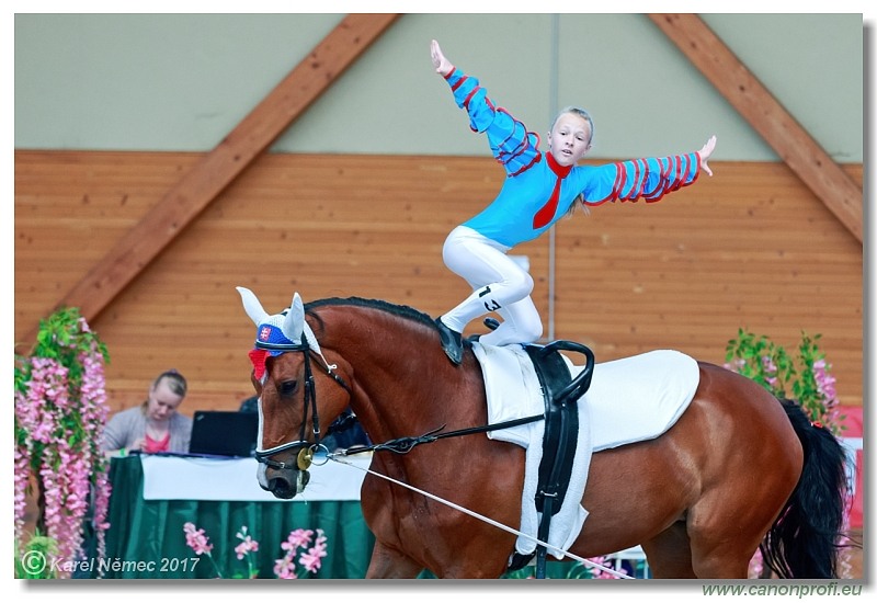 CVI Pezinok  -  17th - 18th June 2017