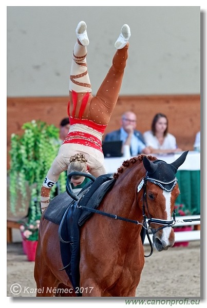 CVI Pezinok  -  17th - 18th June 2017