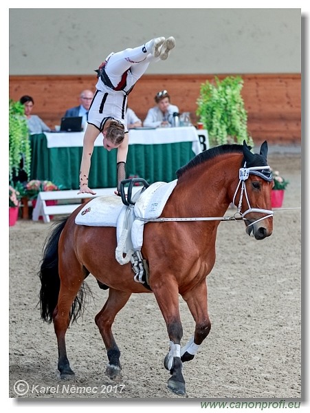 CVI Pezinok  -  17th - 18th June 2017