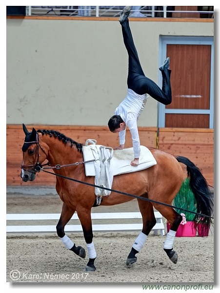 CVI Pezinok  -  17th - 18th June 2017