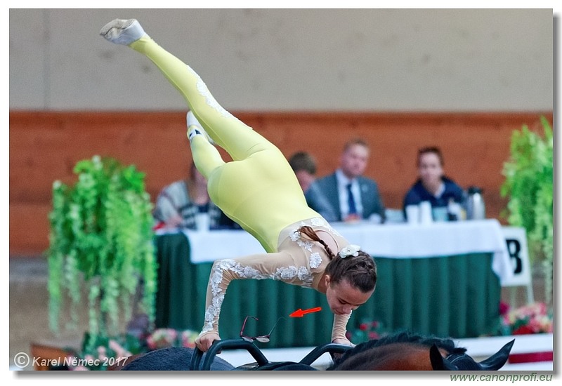 CVI Pezinok  -  17th - 18th June 2017
