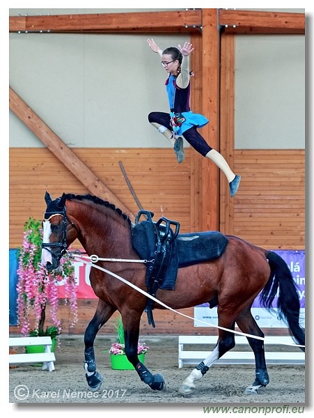 CVI Pezinok  -  17th - 18th June 2017
