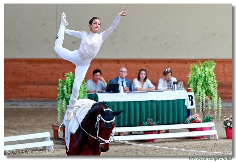 CVI Pezinok  -  17th - 18th June 2017