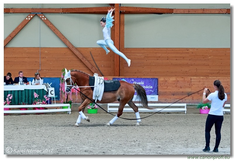 CVI Pezinok  -  17th - 18th June 2017