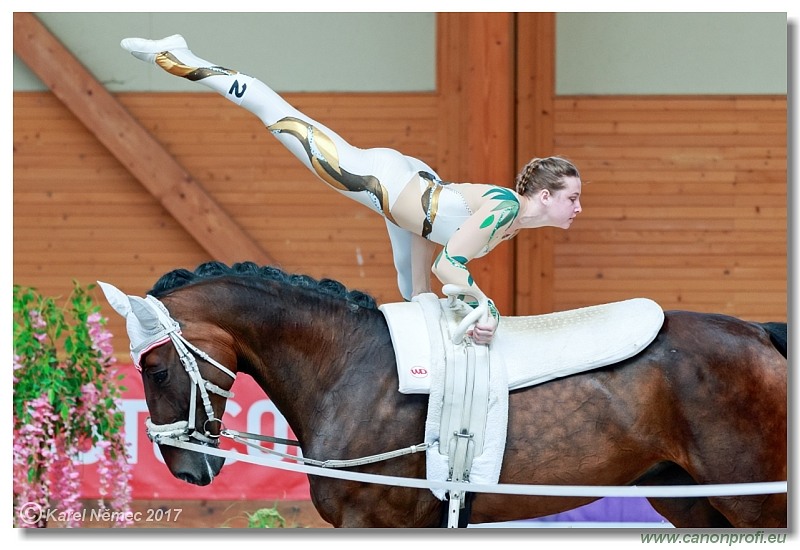 CVI Pezinok  -  17th - 18th June 2017