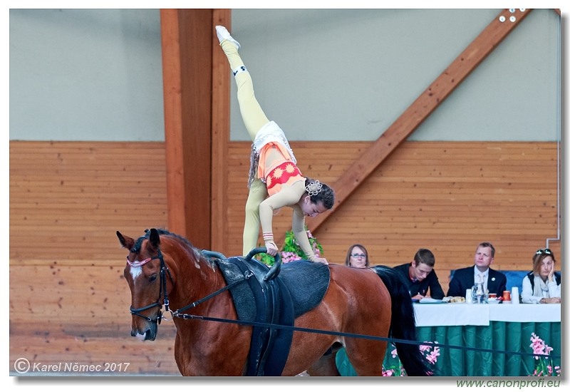 CVI Pezinok  -  17th - 18th June 2017