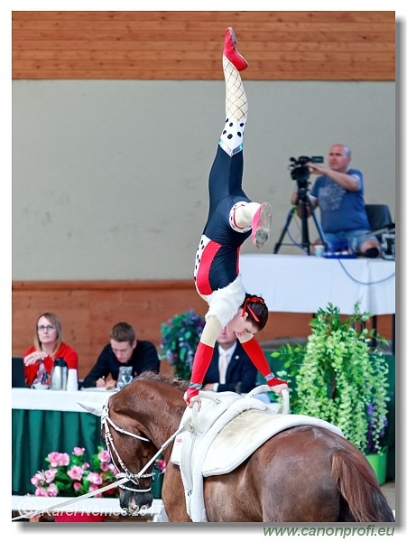 CVI Pezinok  -  17th - 18th June 2017