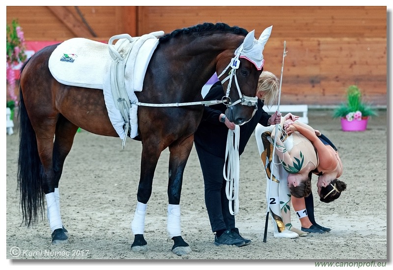 CVI Pezinok  -  17th - 18th June 2017
