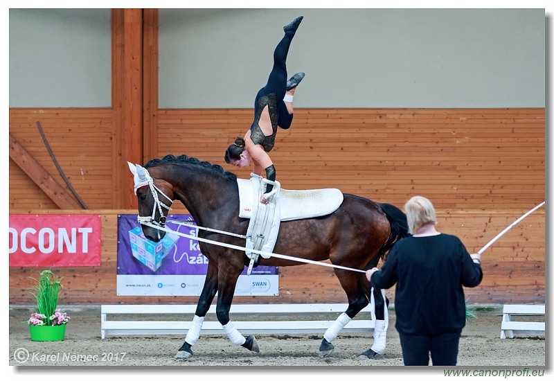 CVI Pezinok  -  17th - 18th June 2017