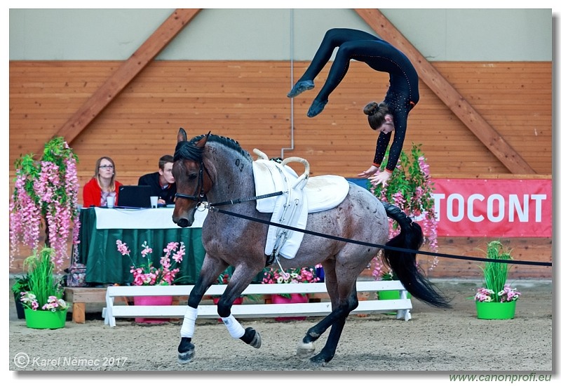 CVI Pezinok  -  17th - 18th June 2017