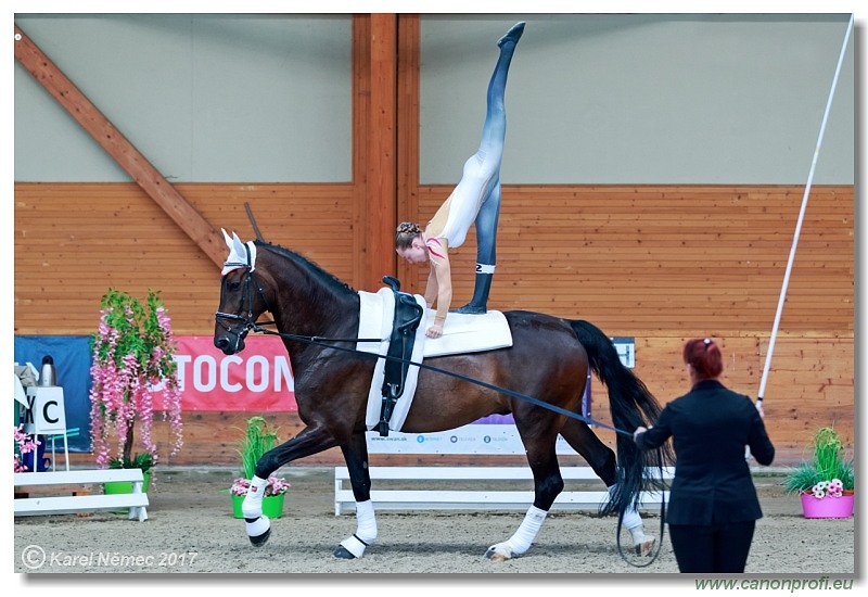 CVI Pezinok  -  17th - 18th June 2017