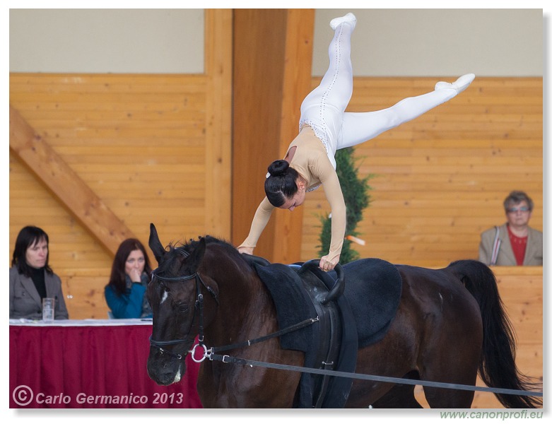 Voltíž - Vaulting 2013
