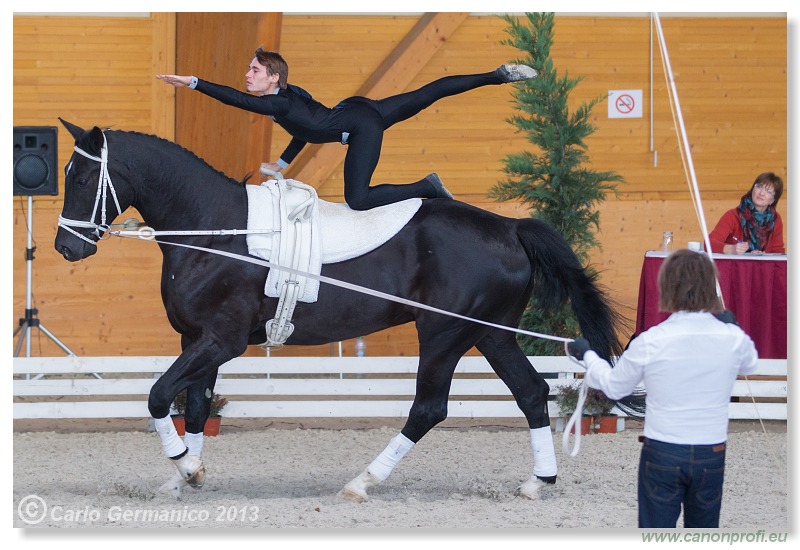Voltíž - Vaulting 2013