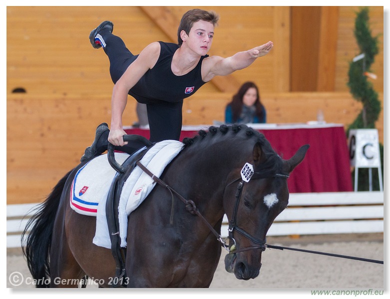 Voltíž - Vaulting 2013