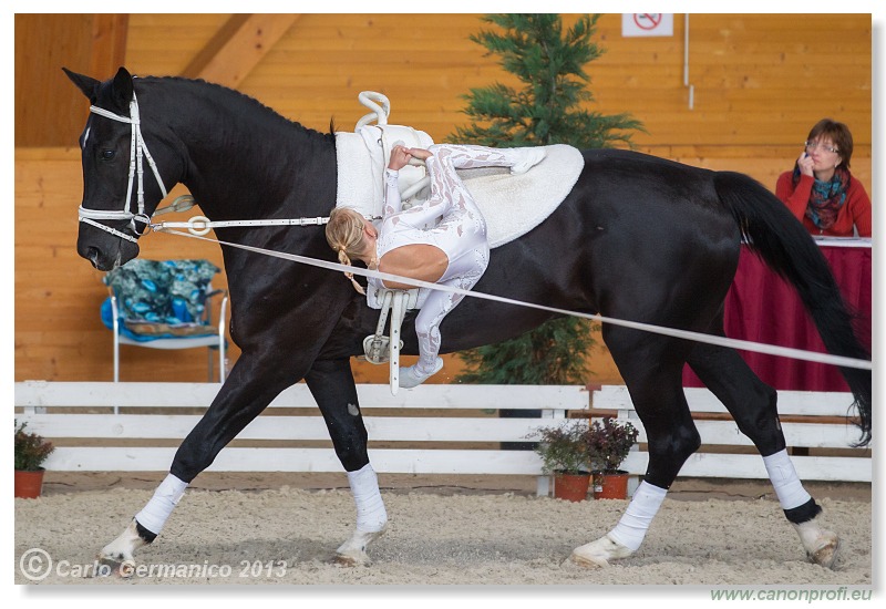 Voltíž - Vaulting 2013