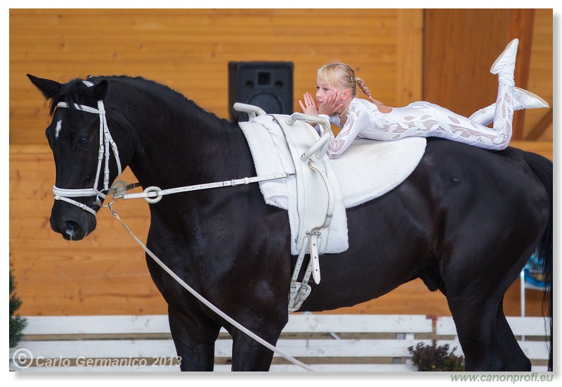 Voltíž - Vaulting 2013
