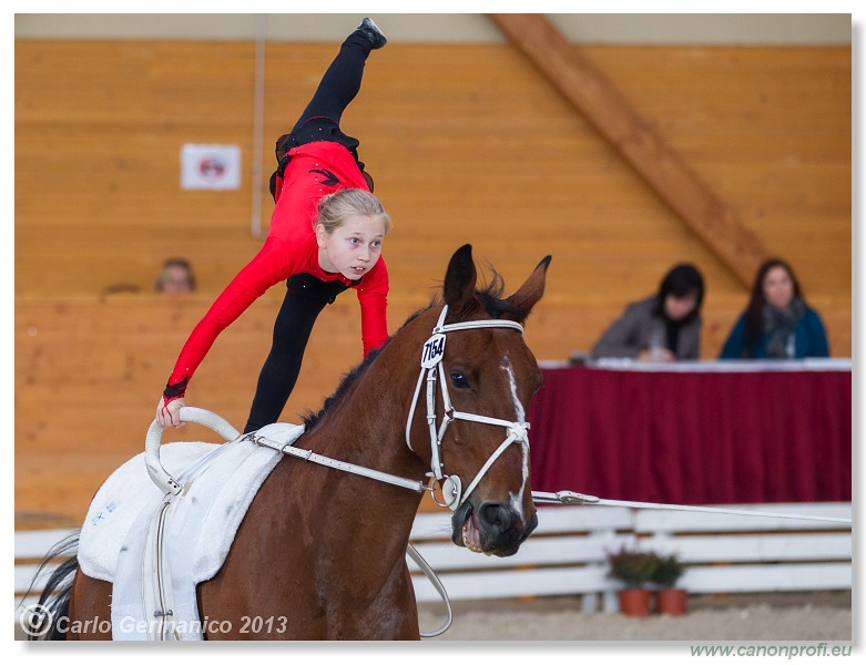 Voltíž - Vaulting 2013