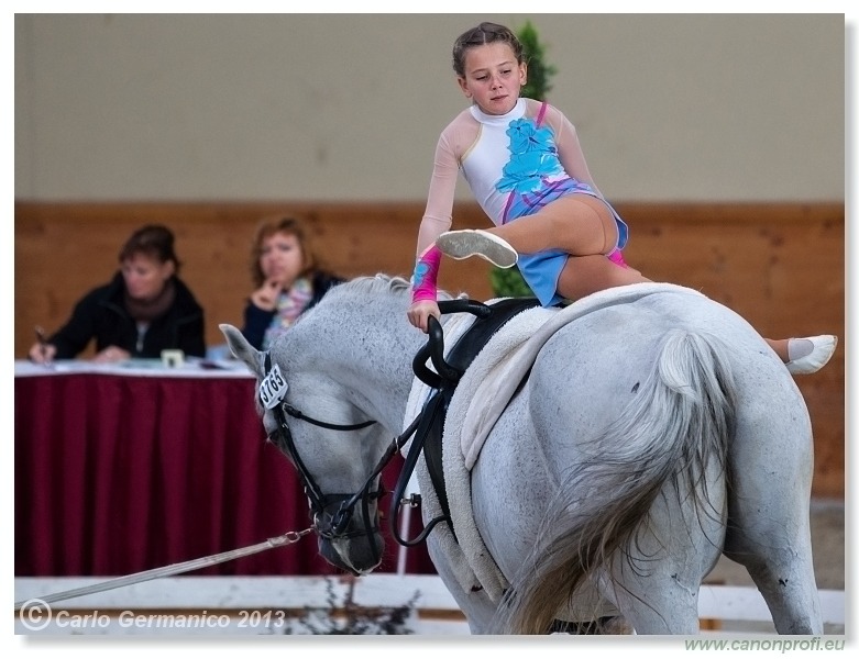 Voltíž - Vaulting 2013