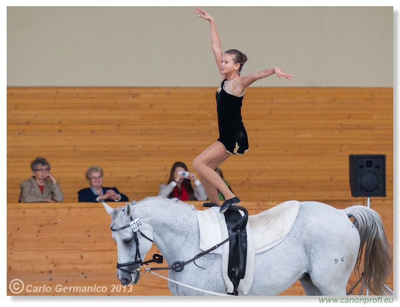 Voltíž - Vaulting 2013
