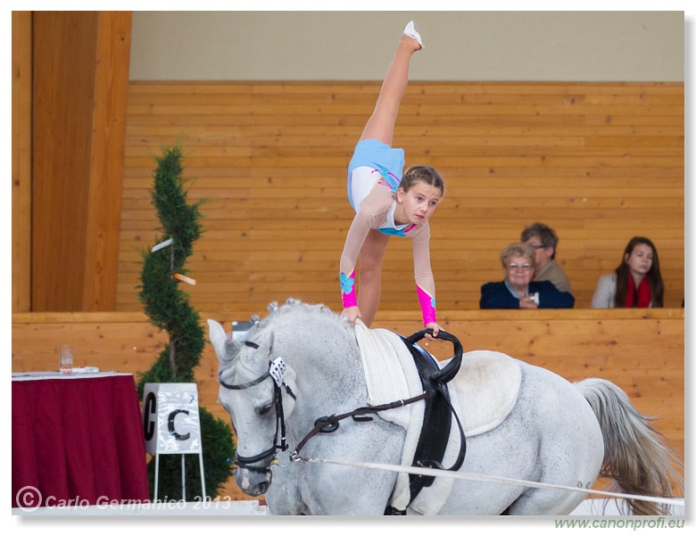 Voltíž - Vaulting 2013