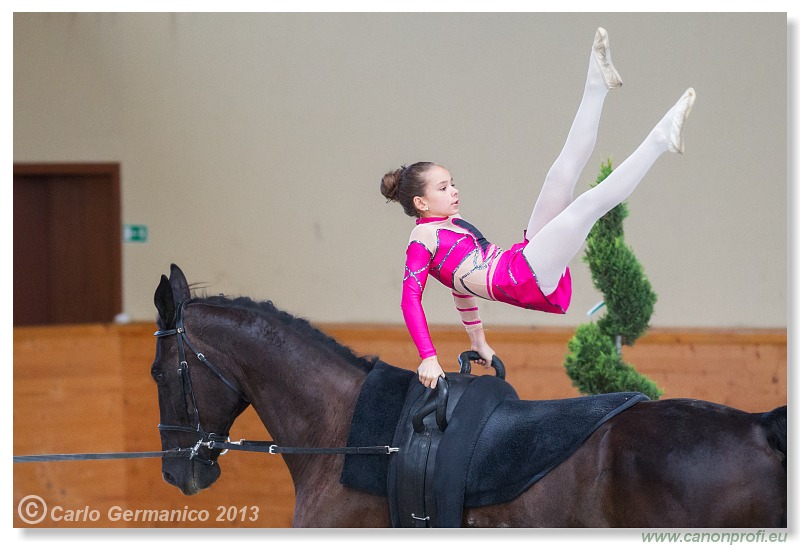 Voltíž - Vaulting 2013