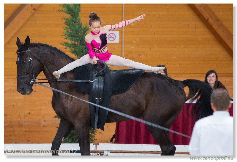 Voltíž - Vaulting 2013