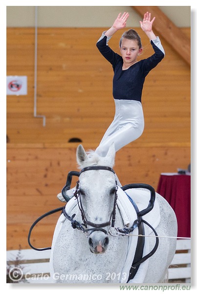 Voltíž - Vaulting 2013