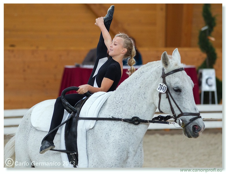 Voltíž - Vaulting 2013