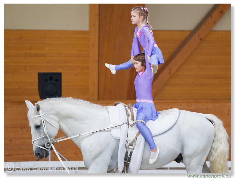 Voltíž - Vaulting 2013