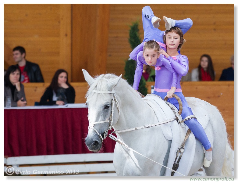 Voltíž - Vaulting 2013