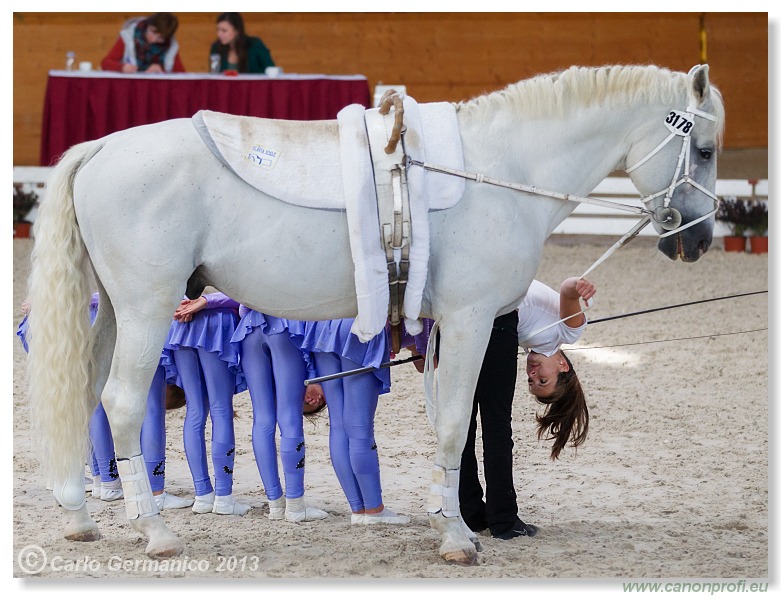 Voltíž - Vaulting 2013