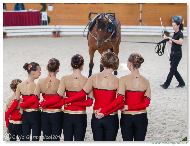 Voltíž - Vaulting 2013