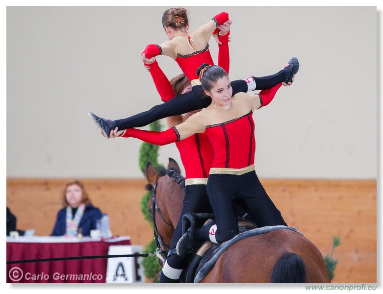 Voltíž - Vaulting 2013
