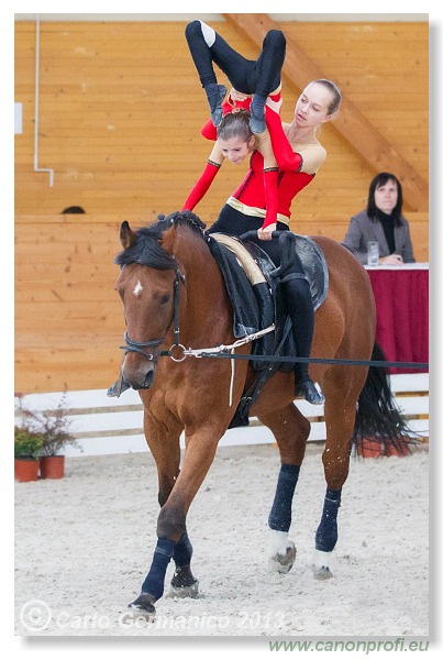 Voltíž - Vaulting 2013