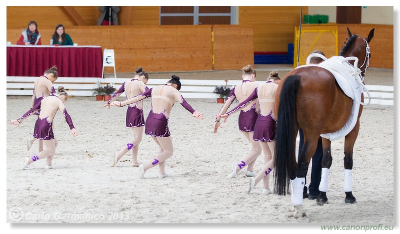 Voltíž - Vaulting 2013